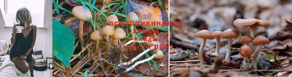 кристаллы Арсеньев