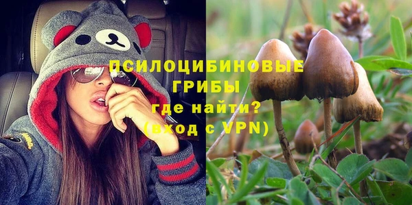 хмурый Армянск