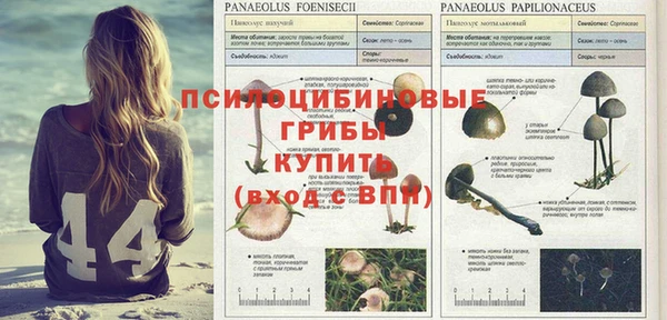 хмурый Армянск